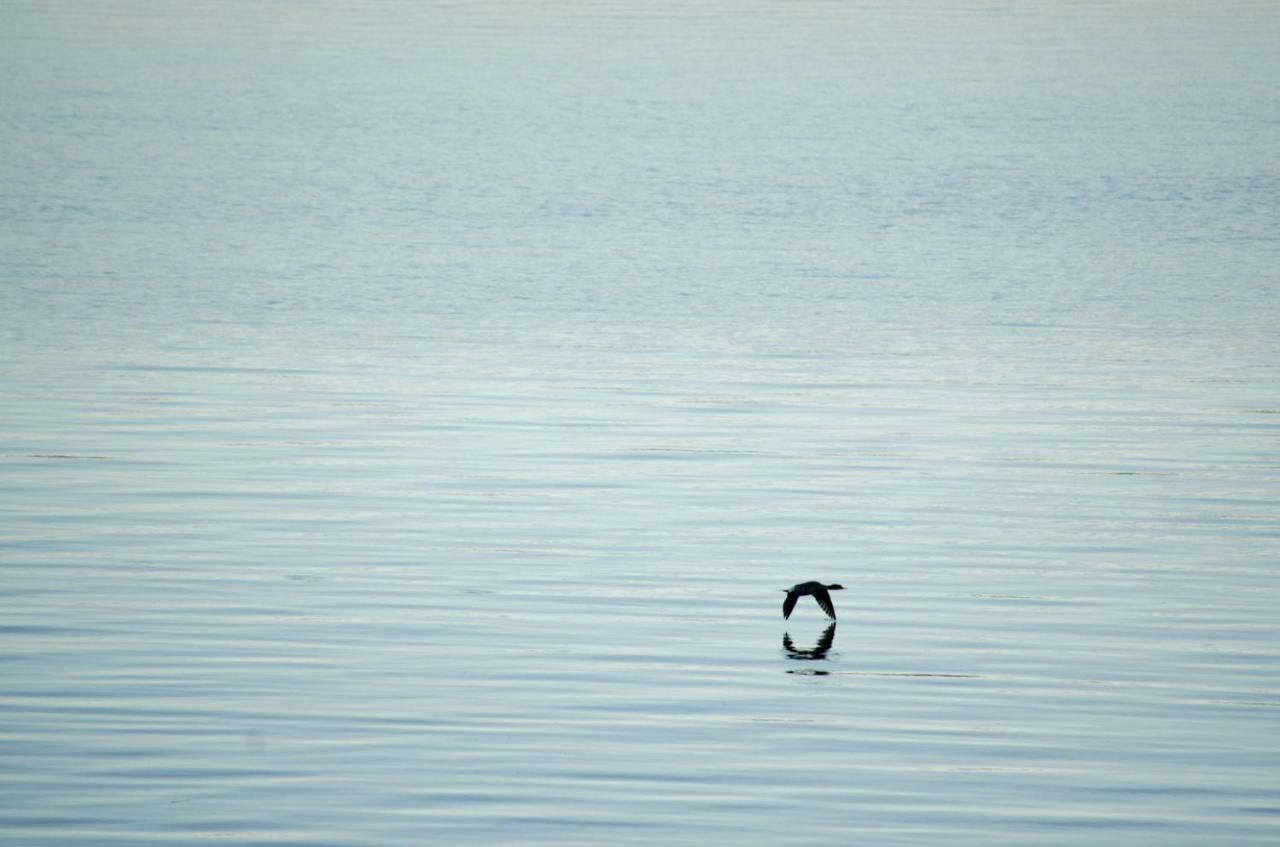 Strandstuga Tämta Dış mekan fotoğraf